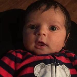 Meet your Posher, Robin